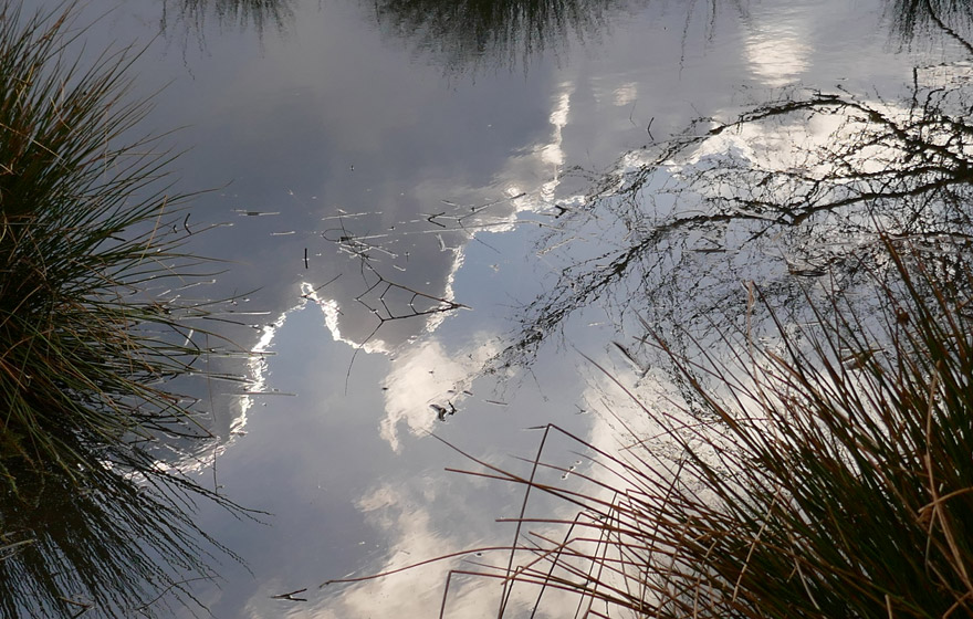 Sensation im EU-Parlament: Abgeordnete stimmen für ein Ende der anlasslosen Massenscans