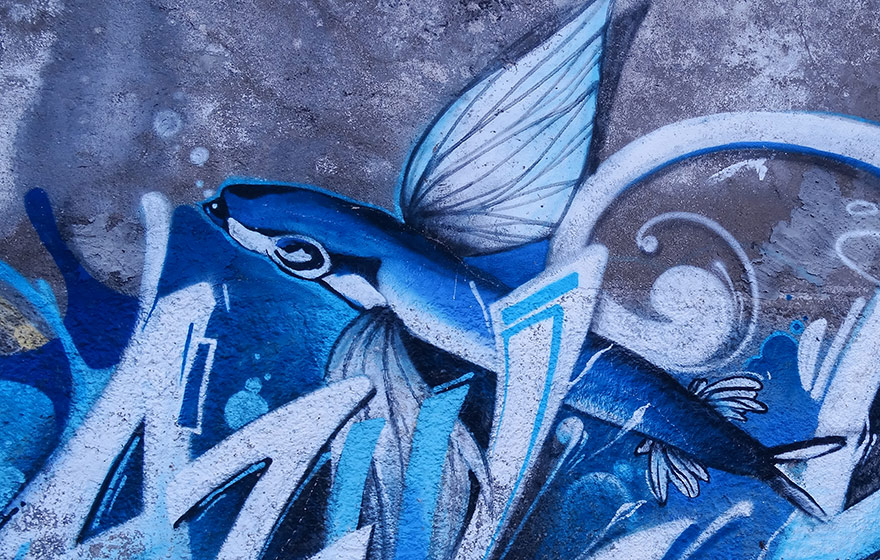 EU:  Waffen nieder, Löhne rauf! Interview mit Cinzia Della Porta über den Aktionstag gegen Militarisierung + Krieg in  20 Häfen am Mittelmeer