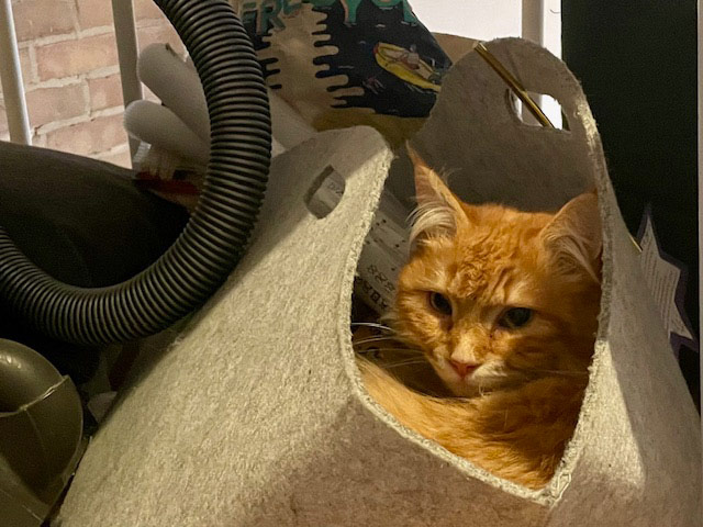 Sammelklage gegen 1N Telecom - Betroffene können sich anschließen